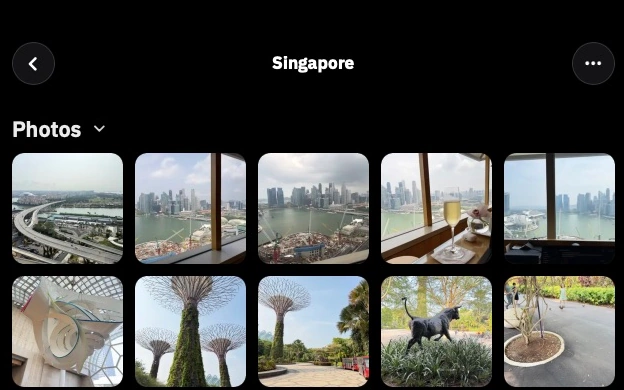 Singapore trip photo gallery in The Edwards app